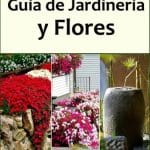 Huertas | Guia de jardineria